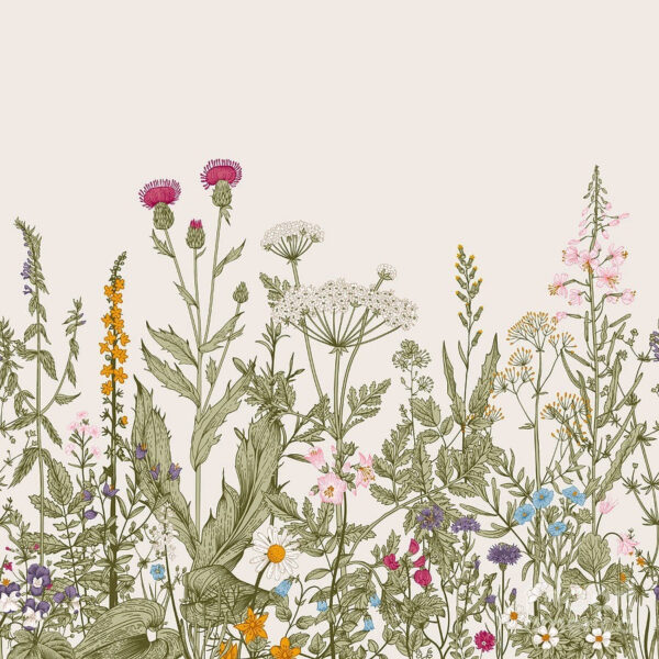 Row of flowers and plants