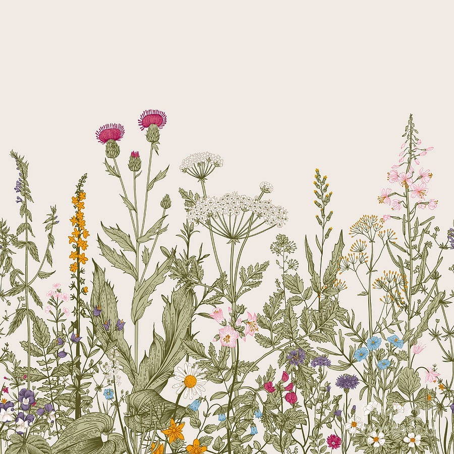 Row of flowers and plants