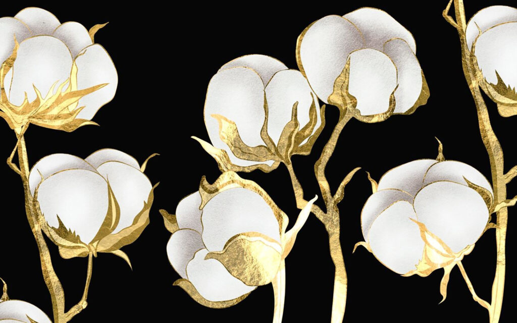 Flores de algodón sobre un fondo oscuro Flores de algodón sobre un fondo oscuro
