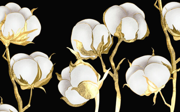 Flores de algodón sobre un fondo oscuro Flores de algodón sobre un fondo oscuro