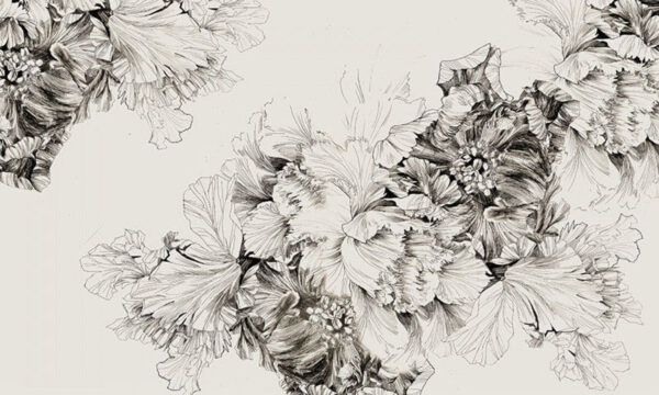 Dibujo de flores sobre fondo blanco Dibujo de flores sobre fondo blanco