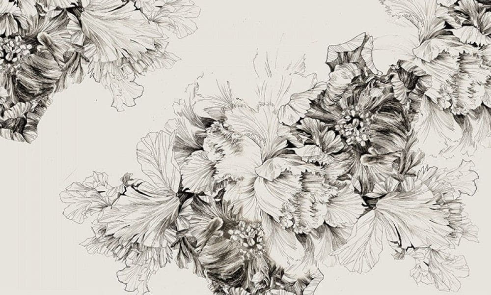 Dibujo de flores sobre fondo blanco Dibujo de flores sobre fondo blanco
