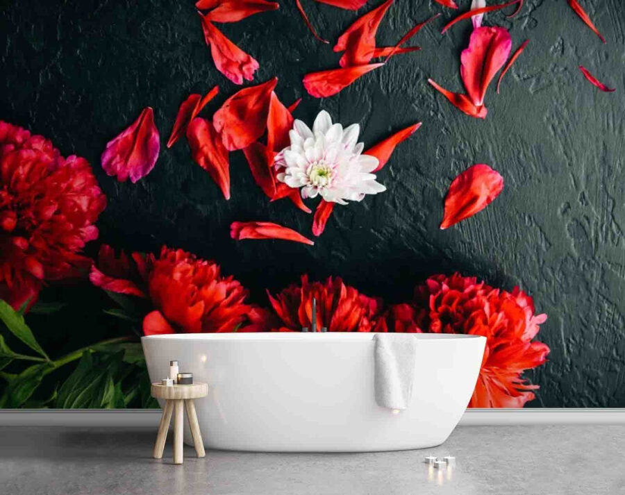 Grupo de flores rojas con pétalos sobre una superficie negra
