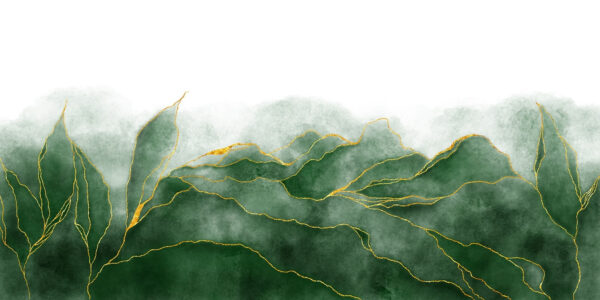 Tonos verdes suaves y líneas delicadas. Tonos verdes suaves y líneas delicadas.