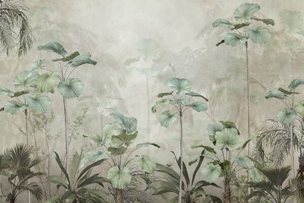 Grupo de plantas en un bosque con niebla Grupo de plantas en un bosque con niebla