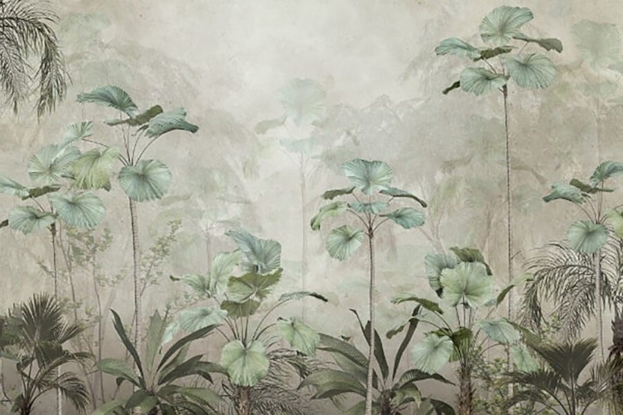 Grupo de plantas en un bosque con niebla