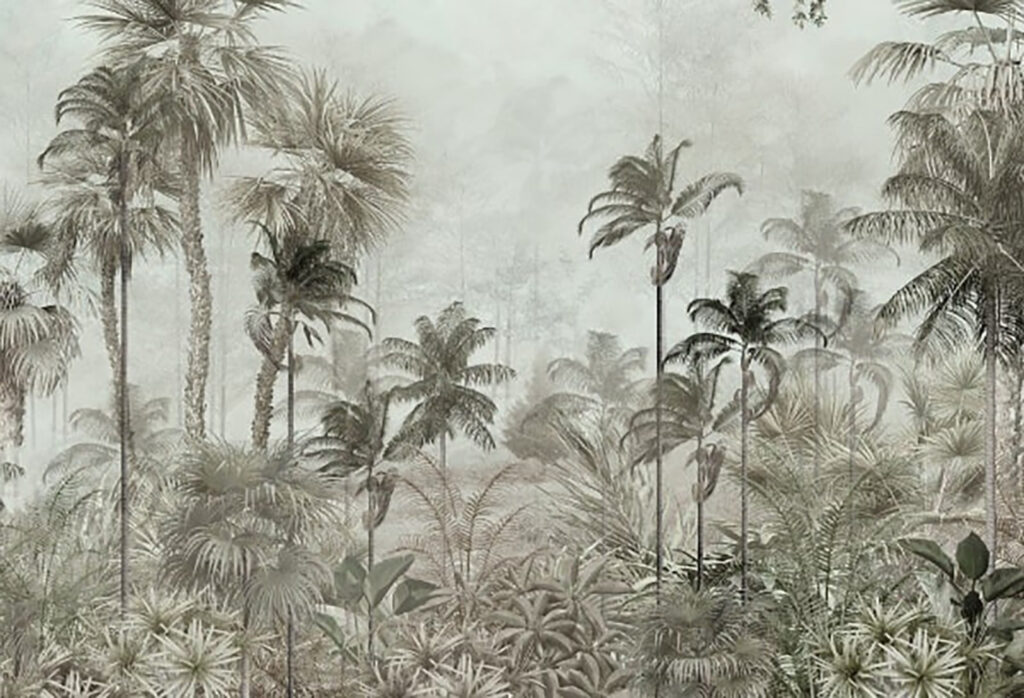 Grupo de palmeras en un bosque con niebla Grupo de palmeras en un bosque con niebla