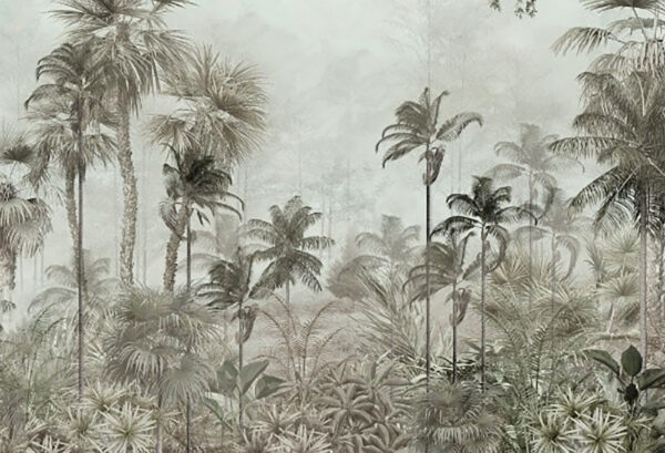 Grupo de palmeras en un bosque con niebla Grupo de palmeras en un bosque con niebla