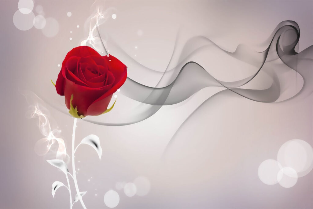 Rosa roja con humo Rosa roja con humo