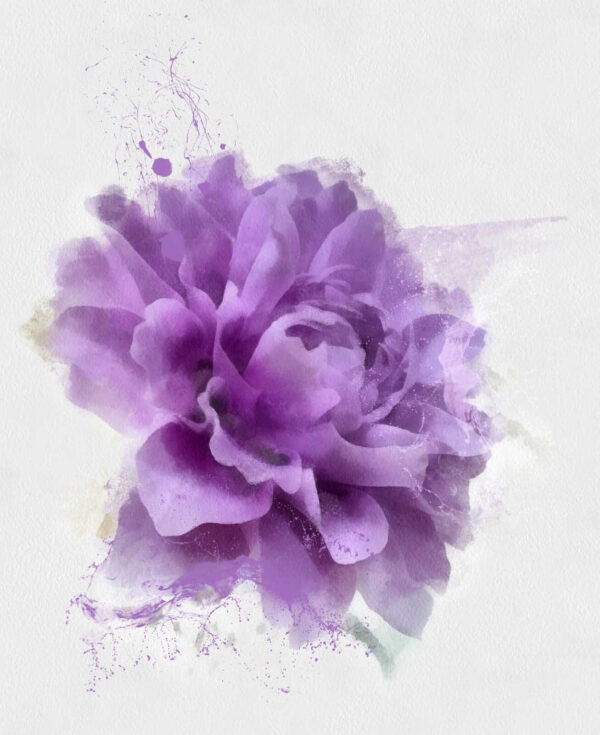 Flor morada con salpicaduras de pintura Flor morada con salpicaduras de pintura