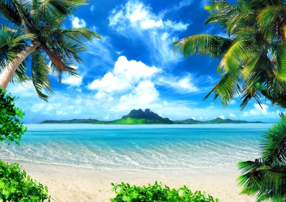 Beach with palm trees and blue water Beach with palm trees and blue water