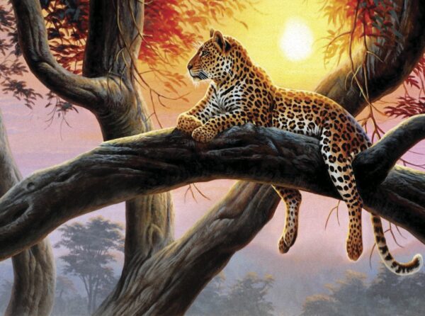 Leopardo tumbado en la rama de un árbol Leopardo tumbado en la rama de un árbol