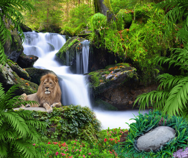 León tumbado en una roca junto a una cascada León tumbado en una roca junto a una cascada