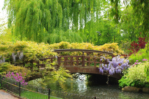 Puente sobre el agua con árboles y plantas Puente sobre el agua con árboles y plantas