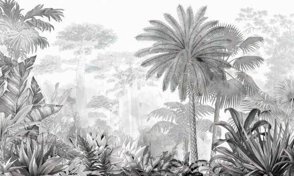 Imagen en blanco y negro de un bosque Imagen en blanco y negro de un bosque