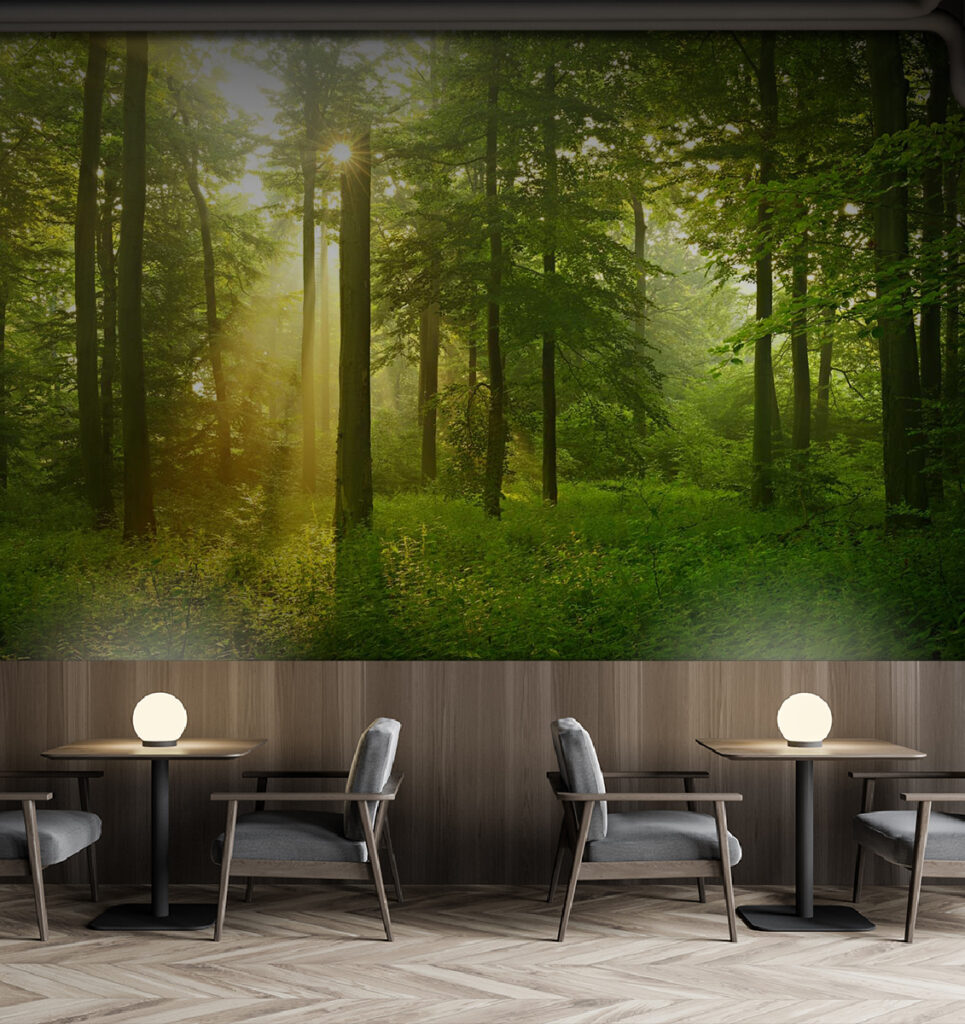 Sun shining through trees Sun shining through trees