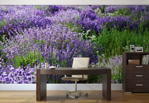 Campo de flores moradas Campo de flores moradas