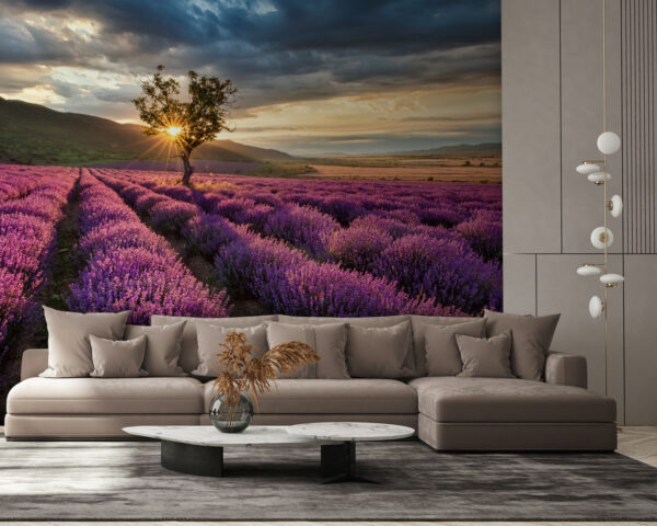 Árbol en un campo de lavanda Árbol en un campo de lavanda