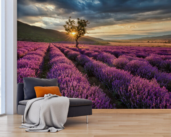 Árbol en un campo de lavanda Árbol en un campo de lavanda