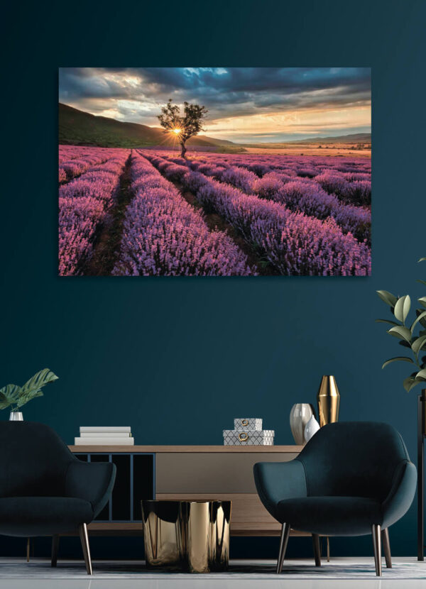 Árbol en un campo de lavanda Árbol en un campo de lavanda