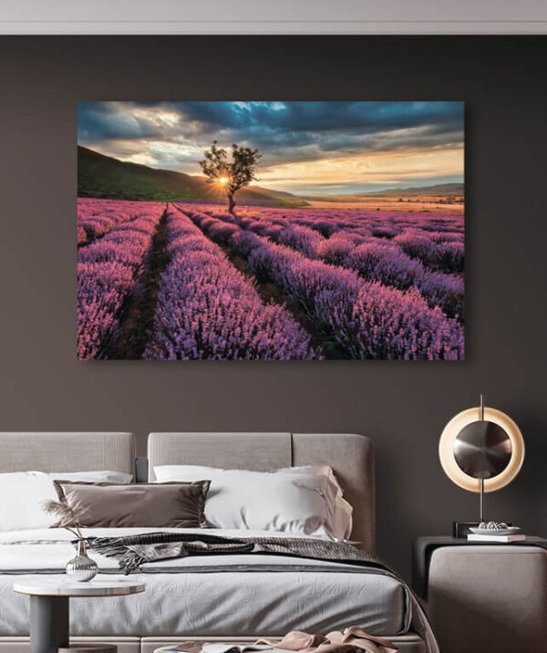 Árbol en un campo de lavanda Árbol en un campo de lavanda