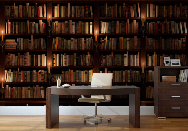 Gran estantería llena de libros Gran estantería llena de libros