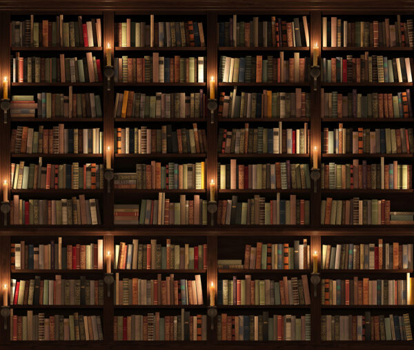 Gran estantería llena de libros Gran estantería llena de libros