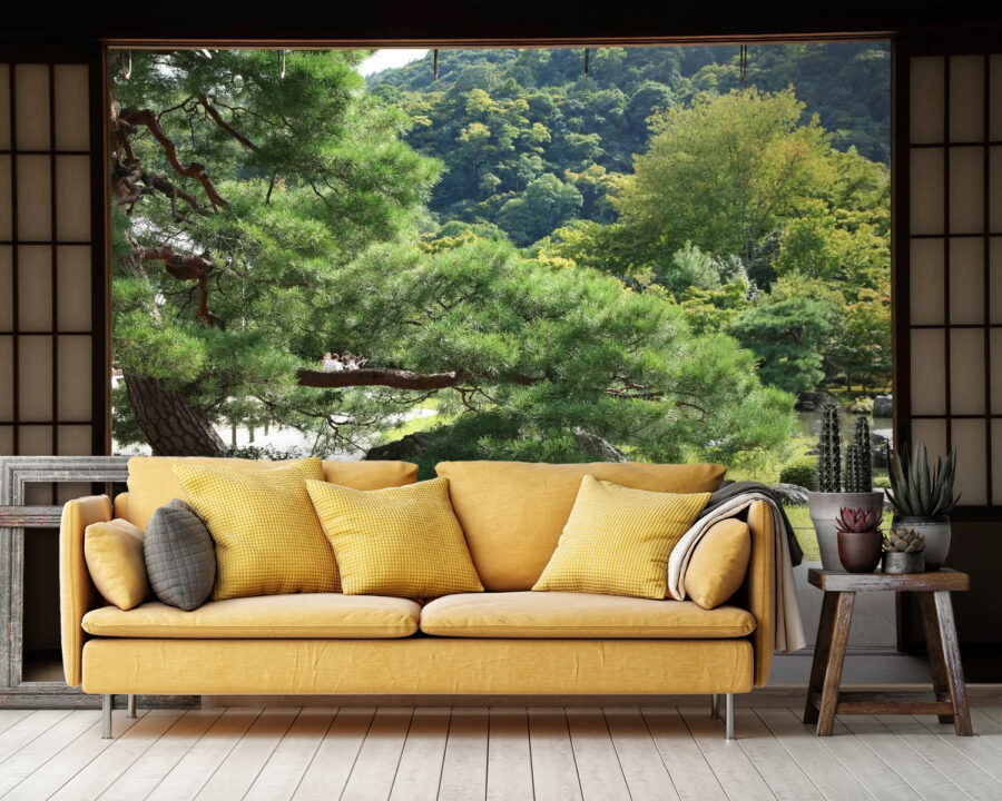 Vista de un bosque desde una habitación