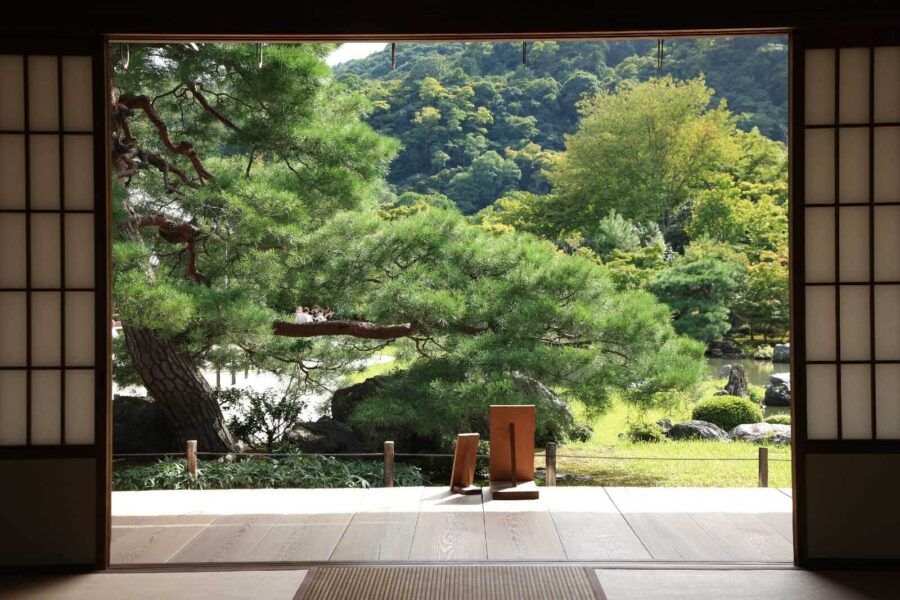 Vista de un bosque desde una habitación