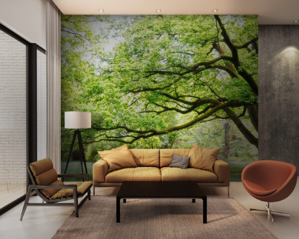 Un árbol de hojas verdes Un árbol de hojas verdes