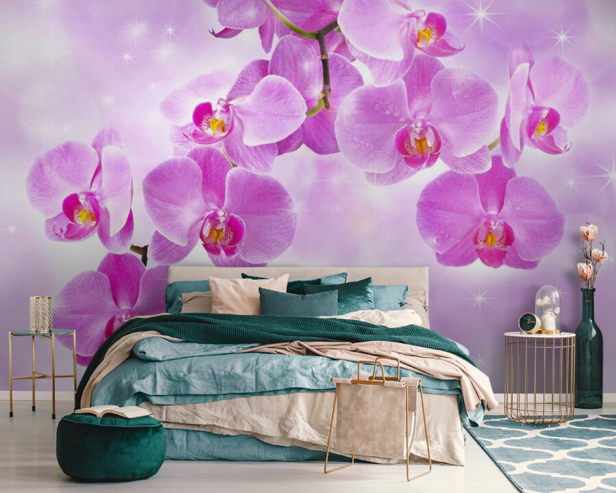 Delicadas orquídeas en tonos suaves