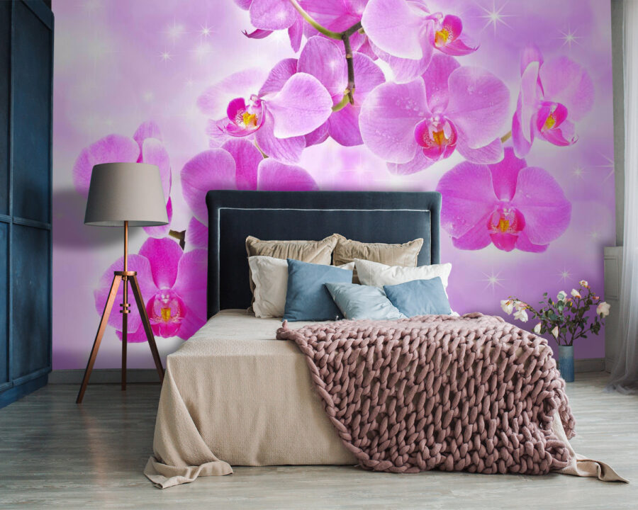 Delicadas orquídeas en tonos suaves