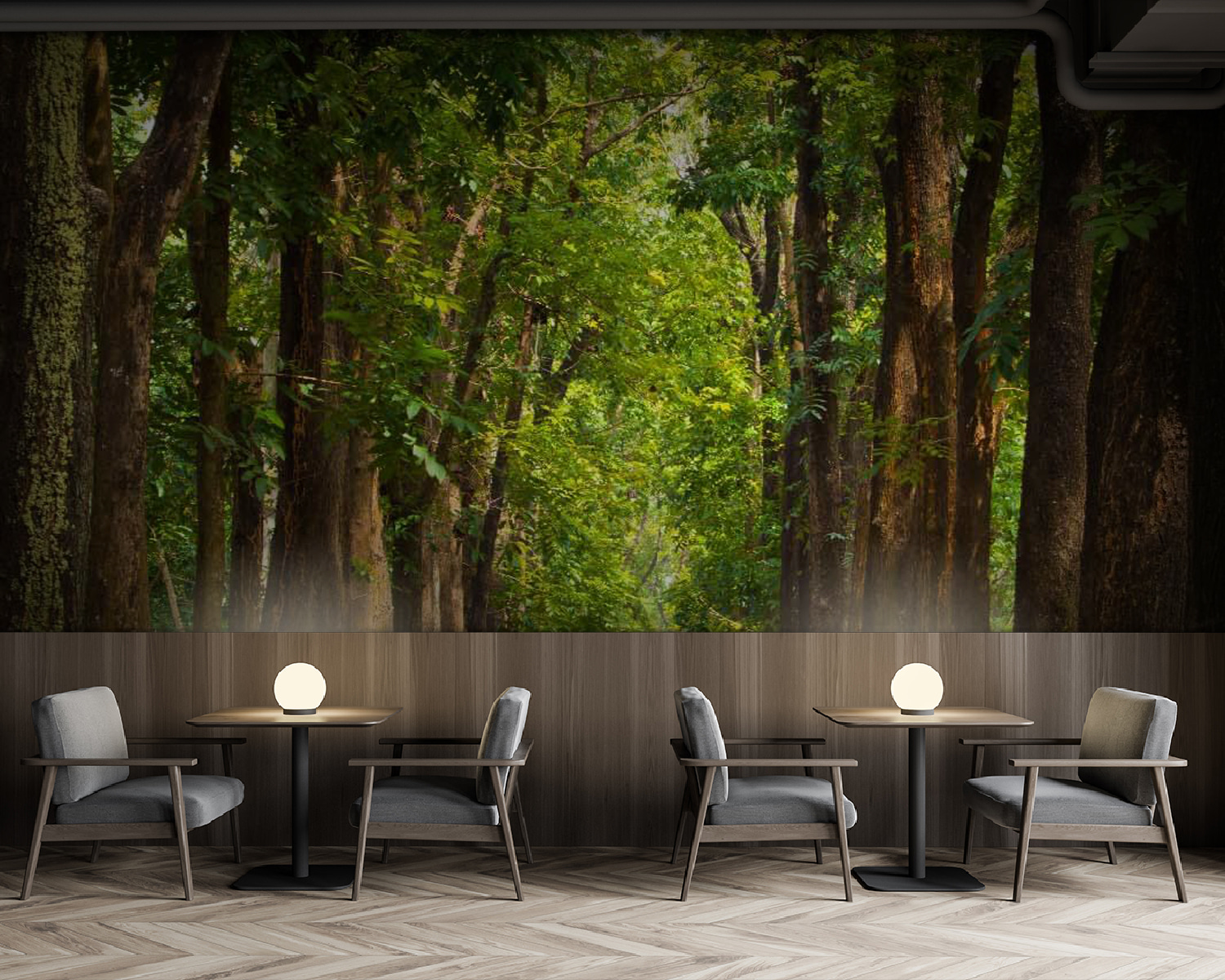 u55418piz137m - Camino con árboles a los lados - tegory