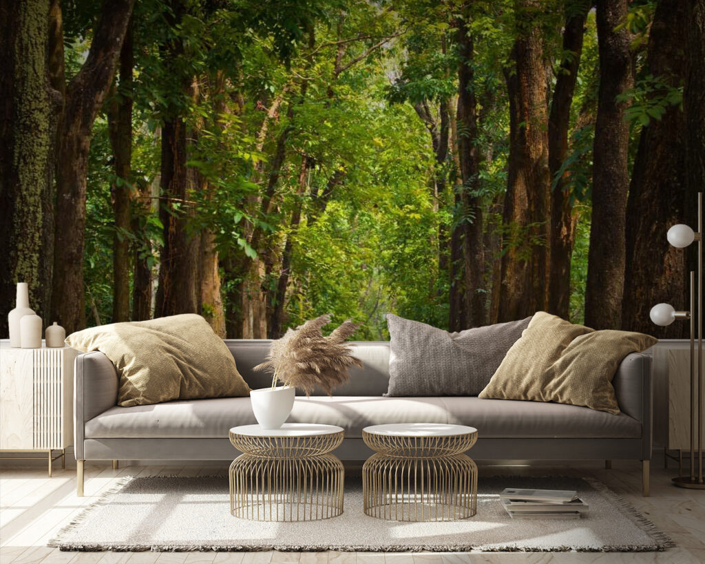 u55418pig9 1024x819 - Camino con árboles a los lados - tegory