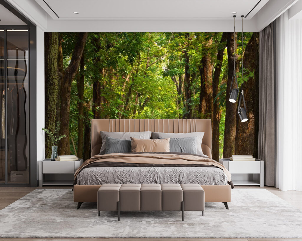 u55418pib115 1024x819 - Camino con árboles a los lados - tegory