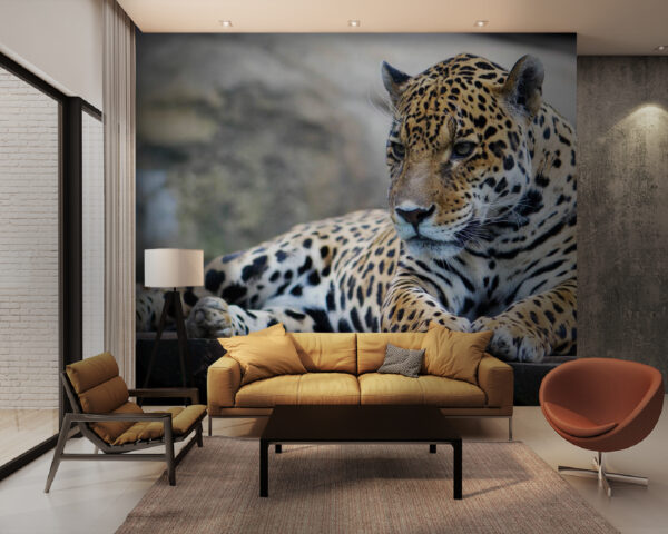 Leopardo tumbado sobre una superficie de madera Leopardo tumbado sobre una superficie de madera
