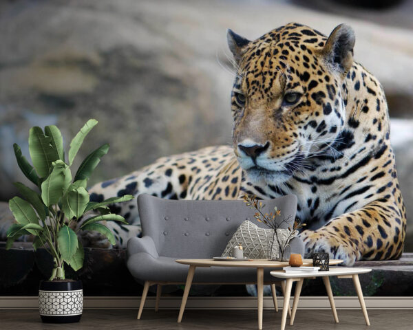 Leopardo tumbado sobre una superficie de madera Leopardo tumbado sobre una superficie de madera