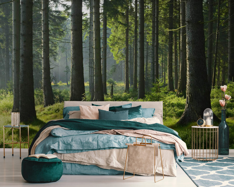 Bosque con árboles altos y hierba