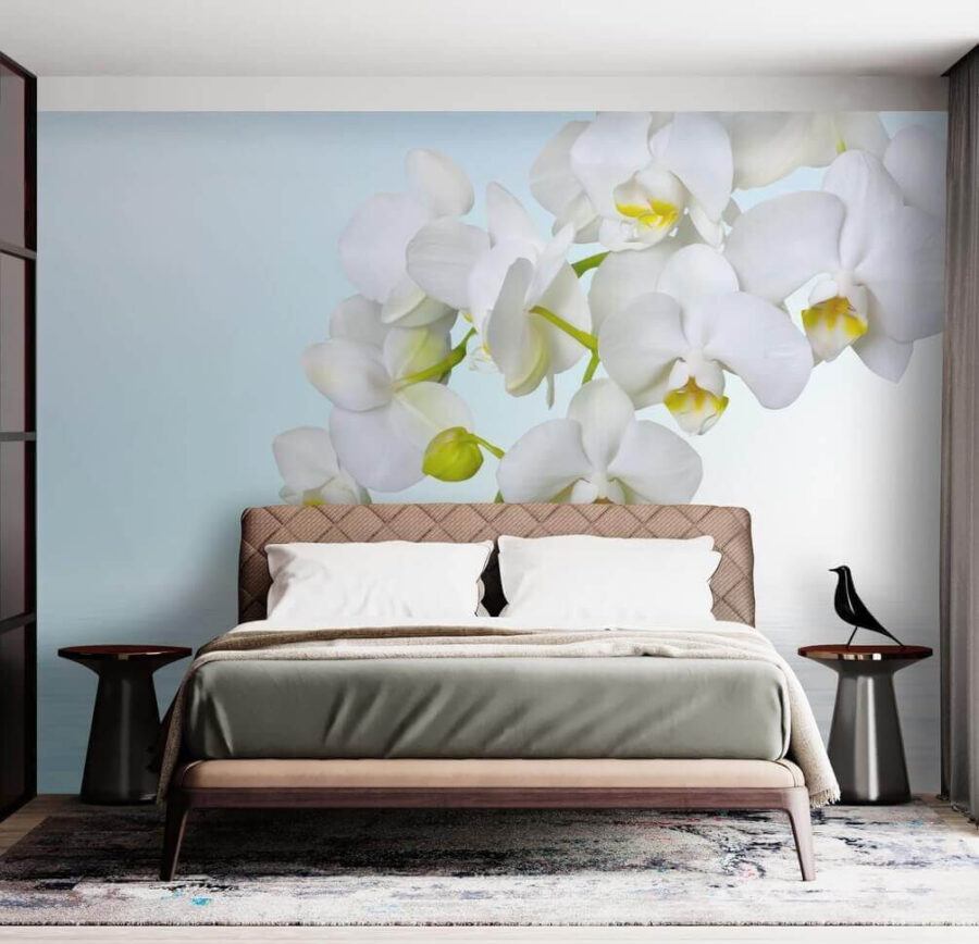 Orquídeas blancas sobre el agua