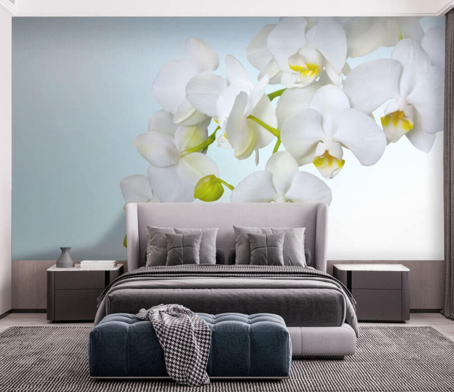 Orquídeas blancas sobre el agua