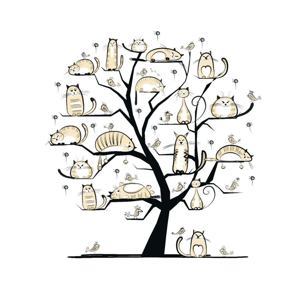 Árbol con gatos Árbol con gatos