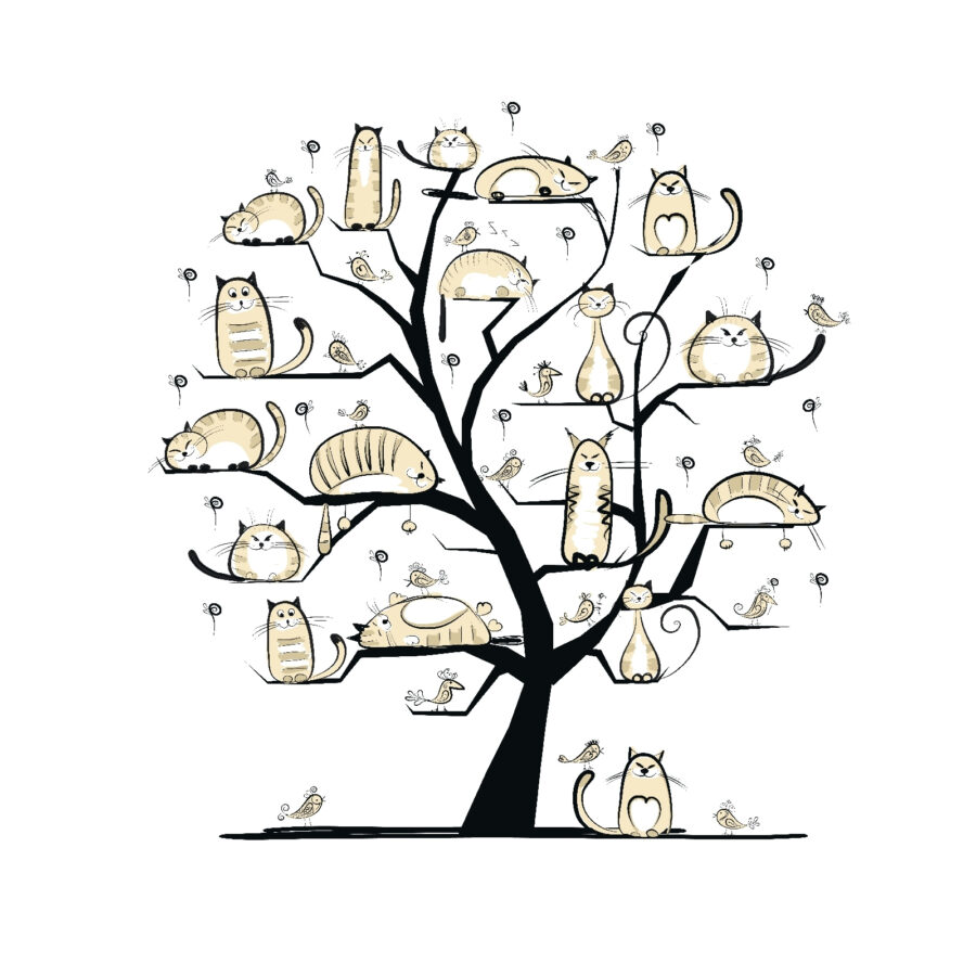 Árbol con gatos