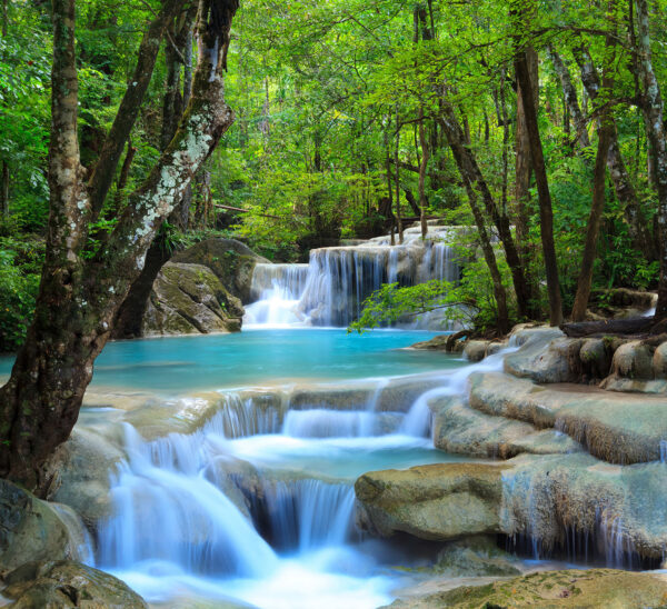 Cascada en un bosque Cascada en un bosque