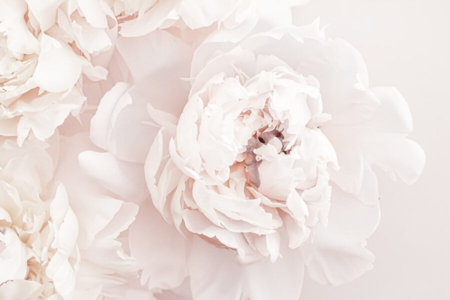 Delicadas flores en tonos suaves