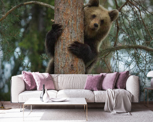 Oso trepando a un árbol Oso trepando a un árbol