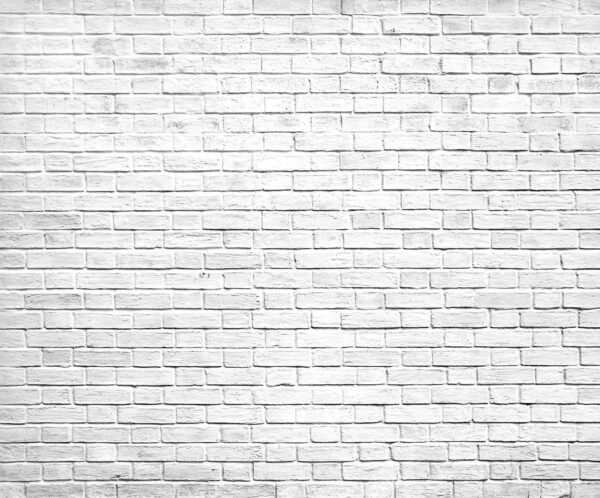 Muro de ladrillo blanco con muchos ladrillos pequeños u54004p 600x498 - Muro de ladrillo blanco con muchos ladrillos pequeños