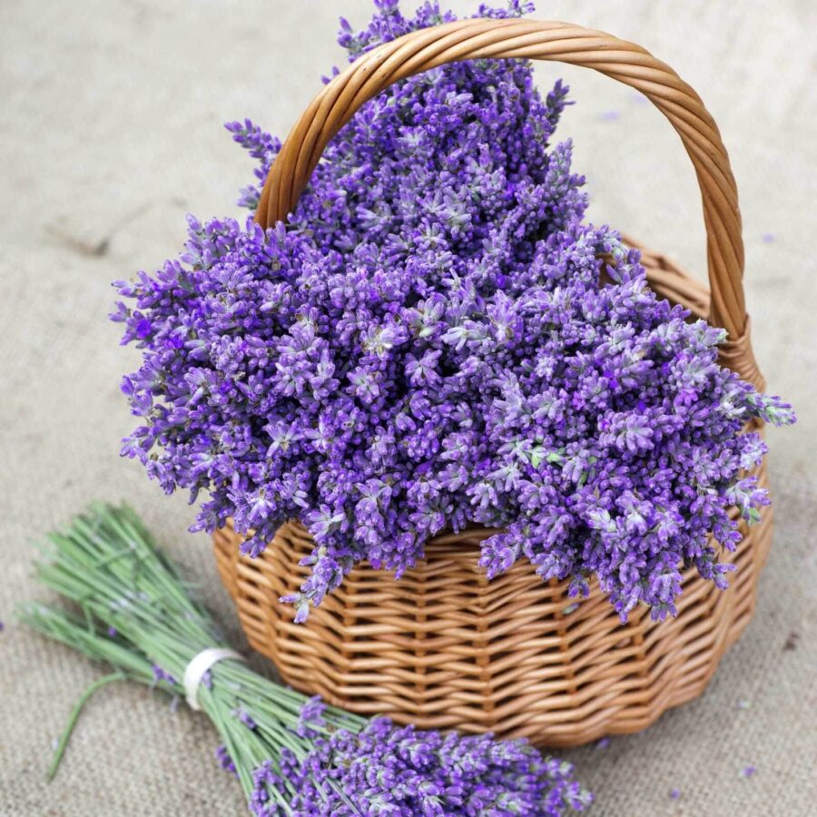 Cesta de flores moradas
