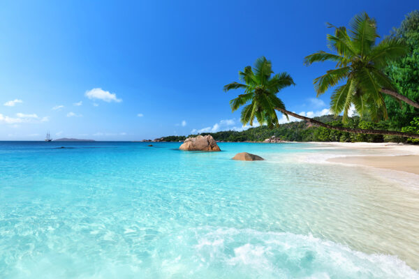 Playa con palmeras y agua azul Playa con palmeras y agua azul