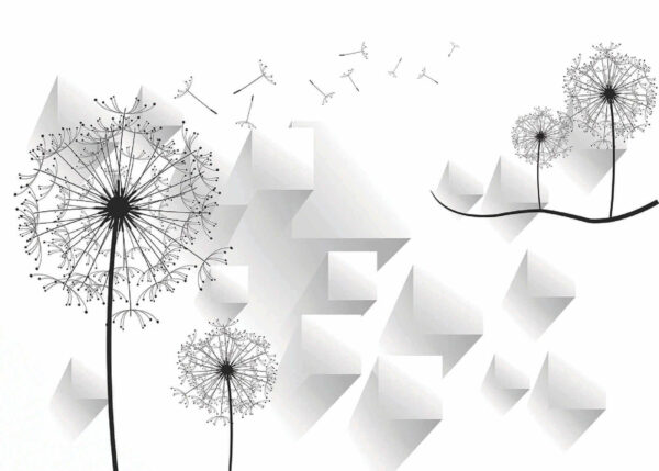 Flores de diente de león y fondo blanco Flores de diente de león y fondo blanco