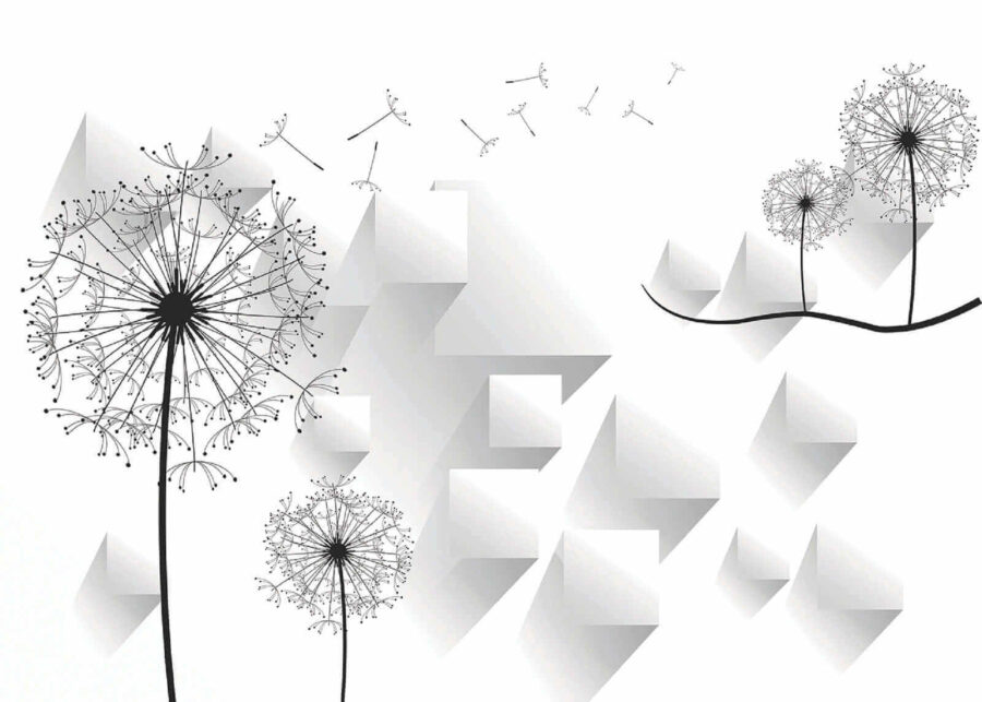 Flores de diente de león y fondo blanco